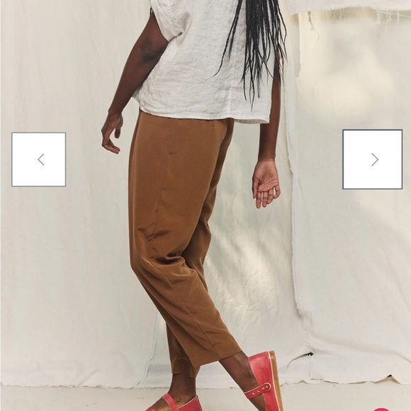 Elizabeth Suzann Any Trouser in silk crepe, rust color - Picture 7 of 7